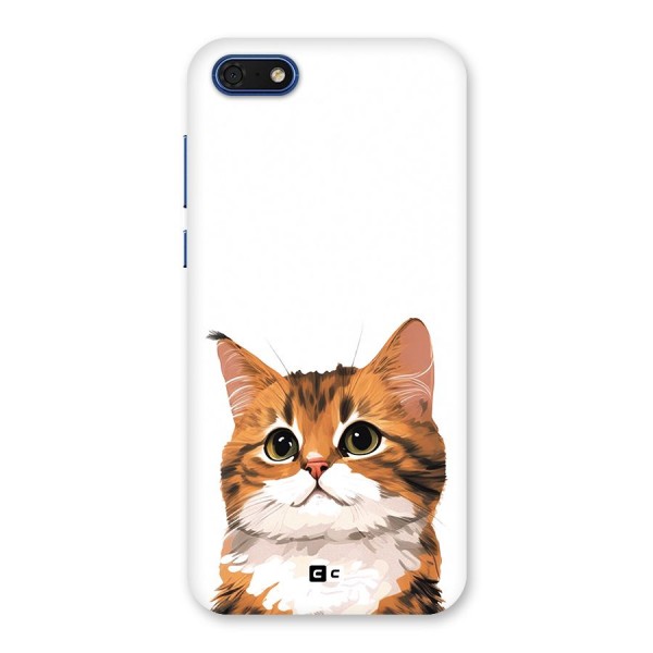 The Cute Cat Back Case for Honor 7s