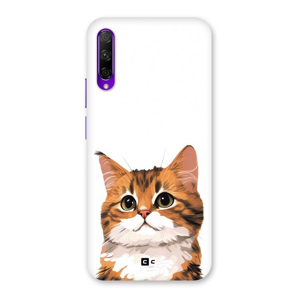 The Cute Cat Back Case for Honor 9X Pro