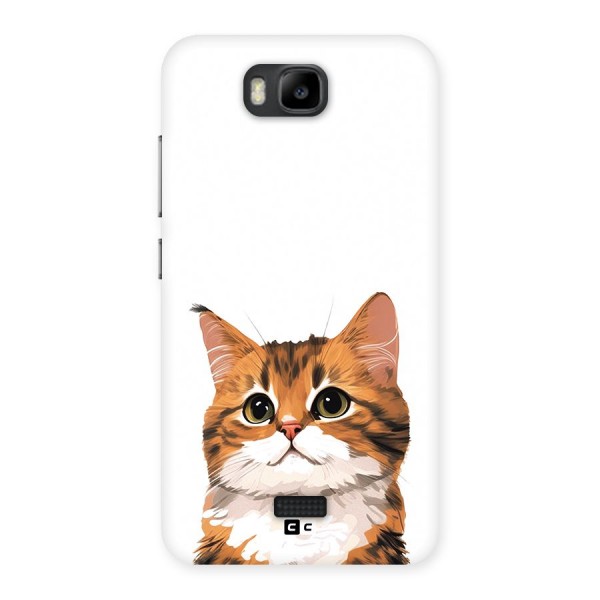 The Cute Cat Back Case for Honor Bee