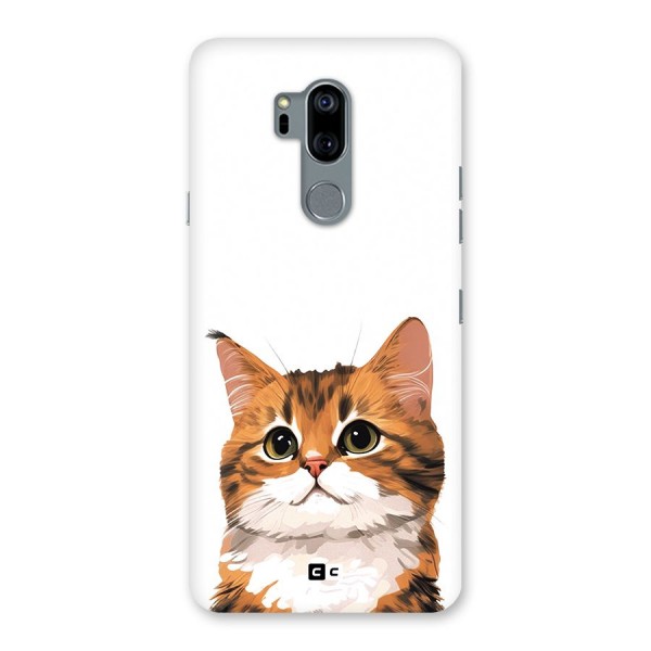 The Cute Cat Back Case for LG G7