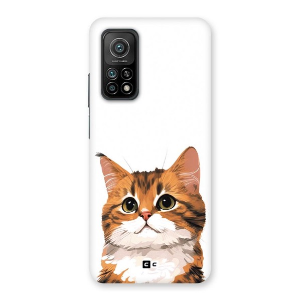 The Cute Cat Back Case for Mi 10T Pro 5G