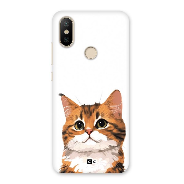 The Cute Cat Back Case for Mi A2