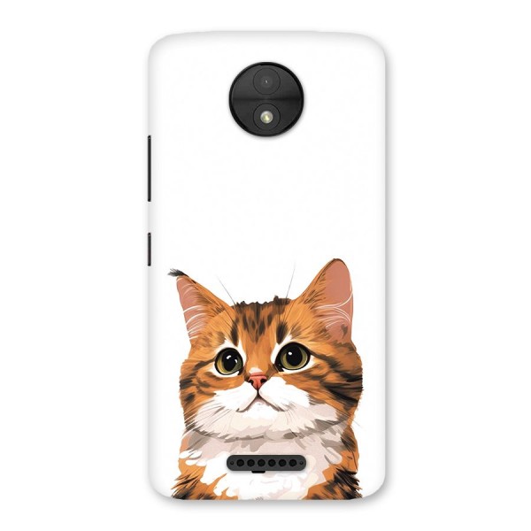 The Cute Cat Back Case for Moto C