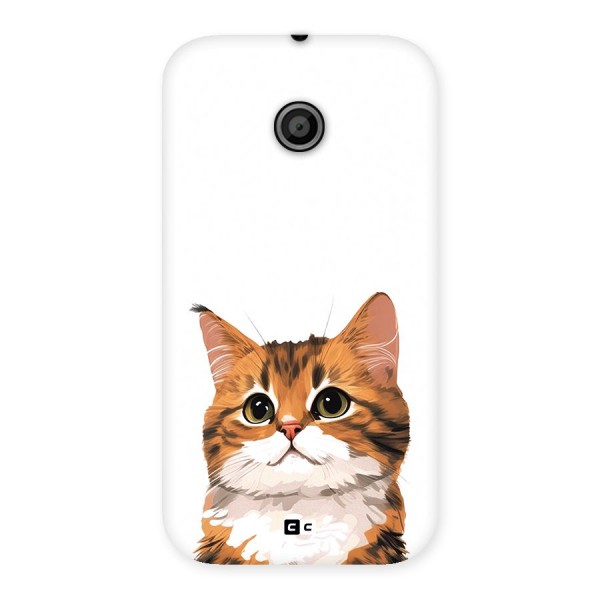 The Cute Cat Back Case for Moto E