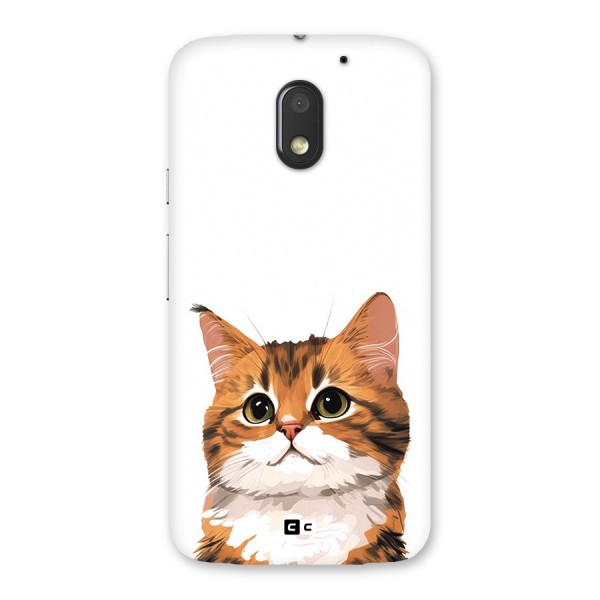 The Cute Cat Back Case for Moto E3 Power