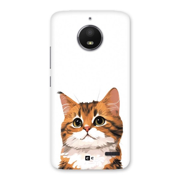 The Cute Cat Back Case for Moto E4