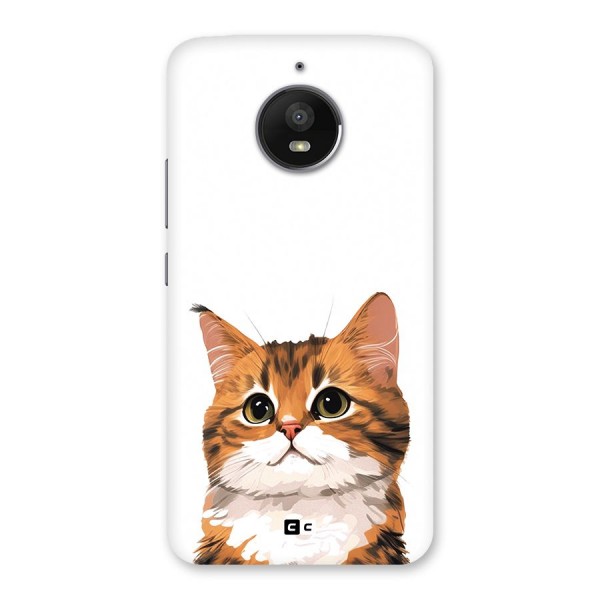 The Cute Cat Back Case for Moto E4 Plus