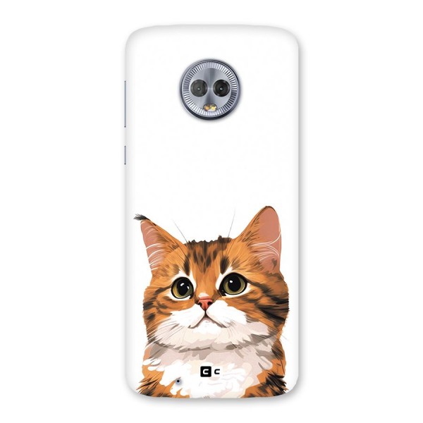 The Cute Cat Back Case for Moto G6