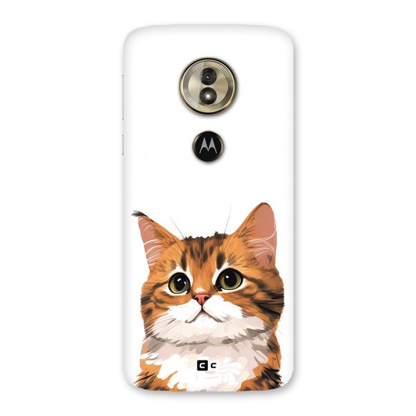 The Cute Cat Back Case for Moto G6 Play