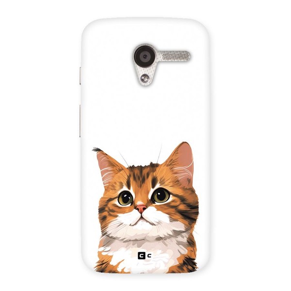 The Cute Cat Back Case for Moto X