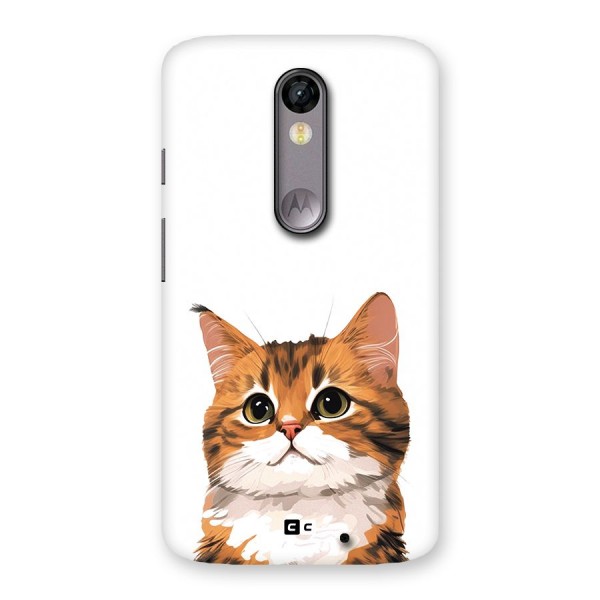 The Cute Cat Back Case for Moto X Force