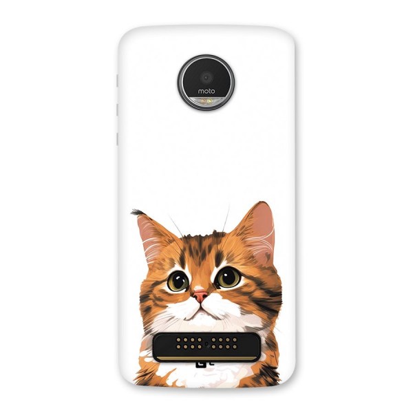 The Cute Cat Back Case for Moto Z Play