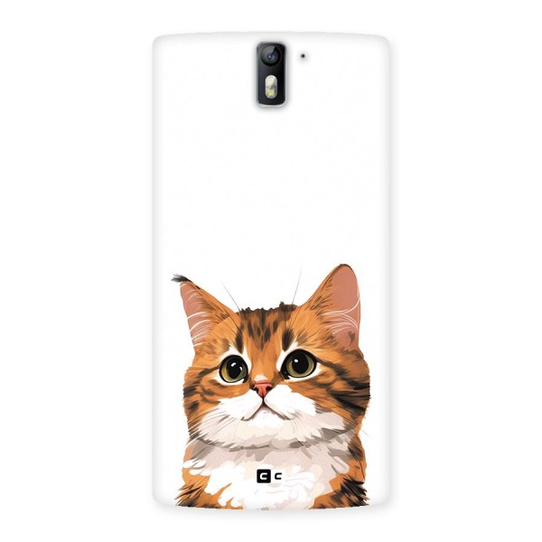 The Cute Cat Back Case for OnePlus One