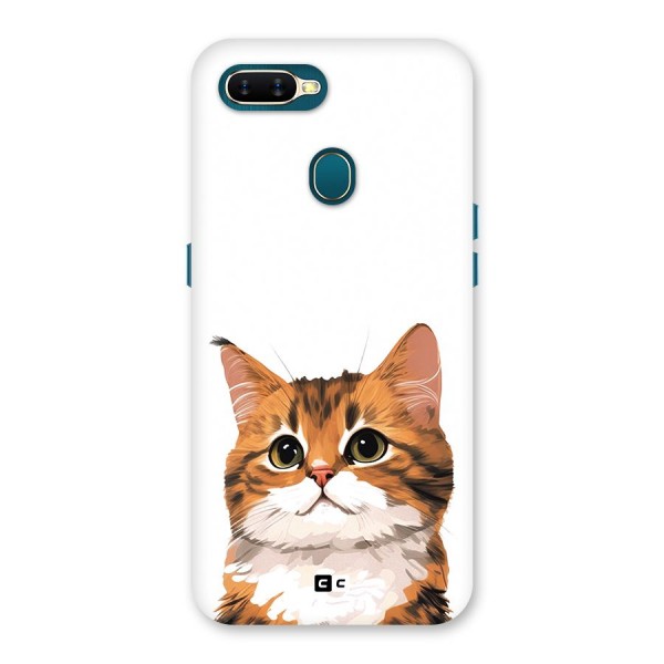 The Cute Cat Back Case for Oppo A12