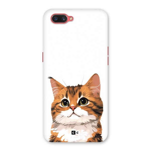 The Cute Cat Back Case for Oppo A3s