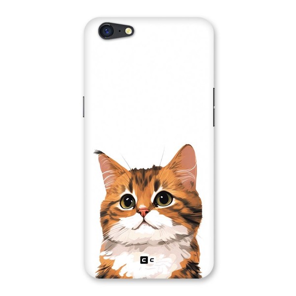 The Cute Cat Back Case for Oppo A71