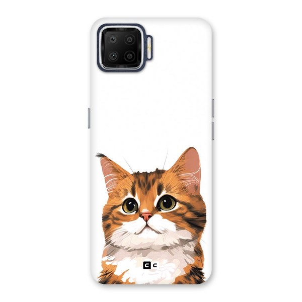 The Cute Cat Back Case for Oppo F17