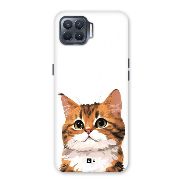 The Cute Cat Back Case for Oppo F17 Pro