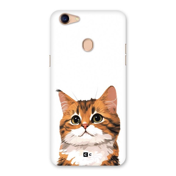 The Cute Cat Back Case for Oppo F5