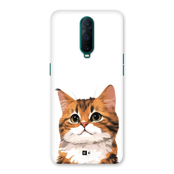 The Cute Cat Back Case for Oppo R17 Pro