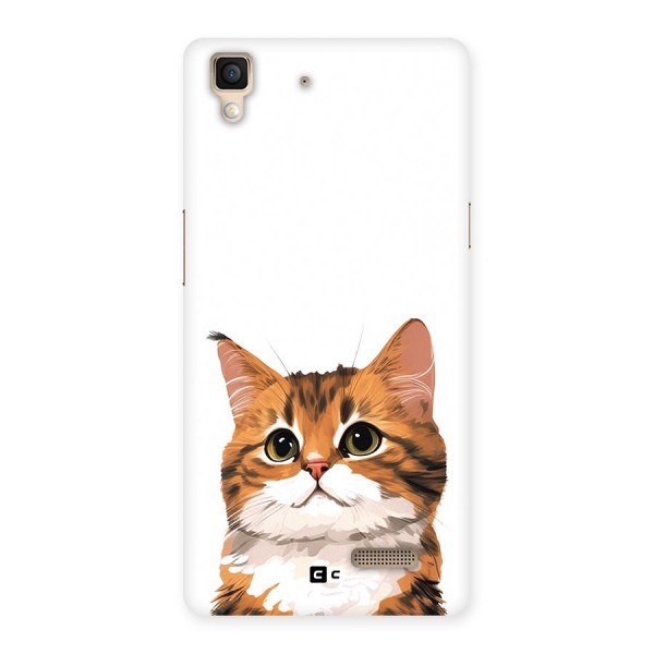 The Cute Cat Back Case for Oppo R7