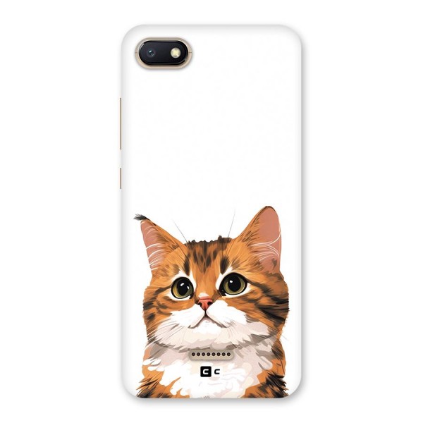 The Cute Cat Back Case for Redmi 6A