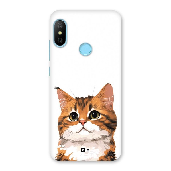 The Cute Cat Back Case for Redmi 6 Pro