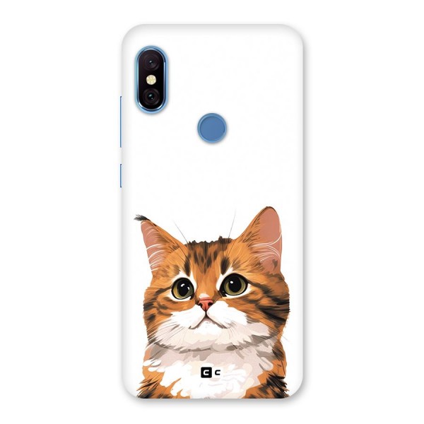 The Cute Cat Back Case for Redmi Note 6 Pro