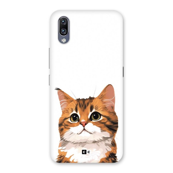 The Cute Cat Back Case for Vivo NEX