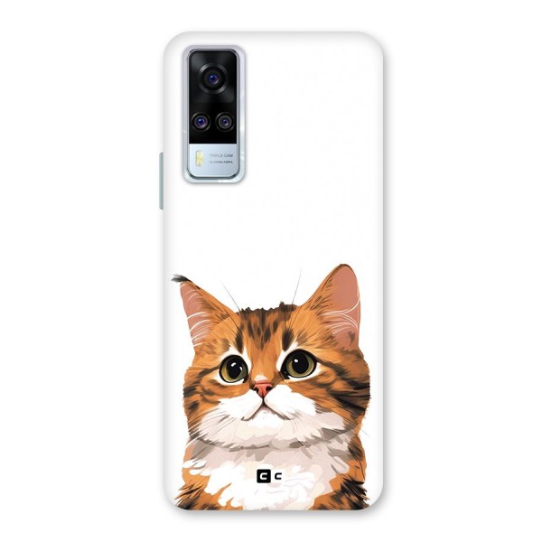 The Cute Cat Back Case for Vivo Y51