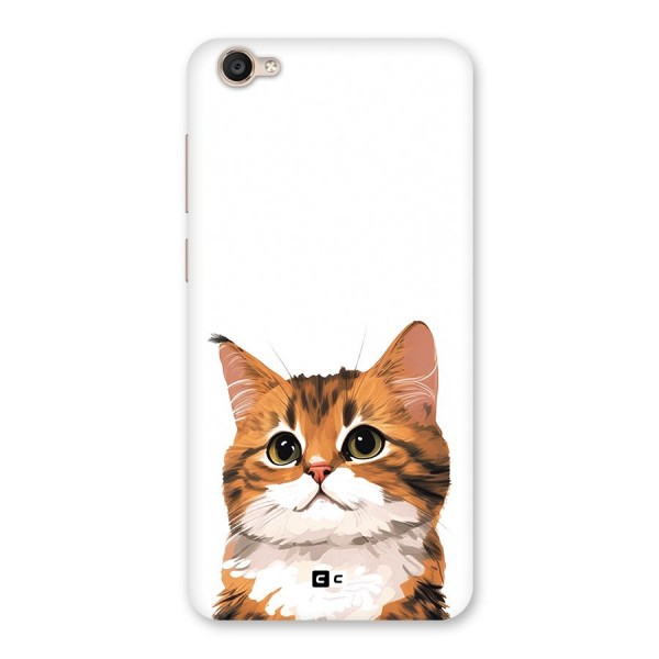 The Cute Cat Back Case for Vivo Y55