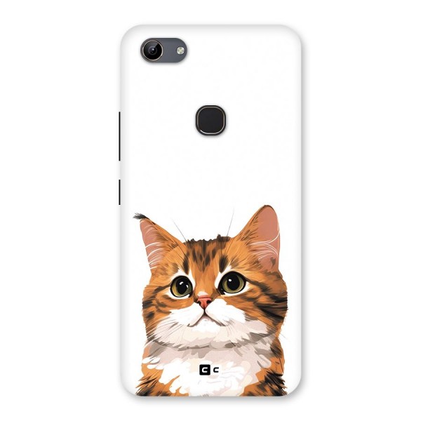 The Cute Cat Back Case for Vivo Y81