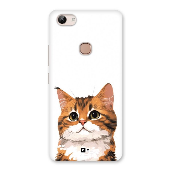 The Cute Cat Back Case for Vivo Y83