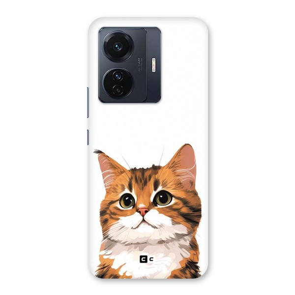 The Cute Cat Back Case for Vivo iQOO Z6 Pro