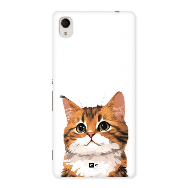 The Cute Cat Back Case for Xperia M4