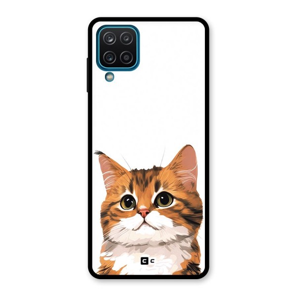 The Cute Cat Glass Back Case for Galaxy A12