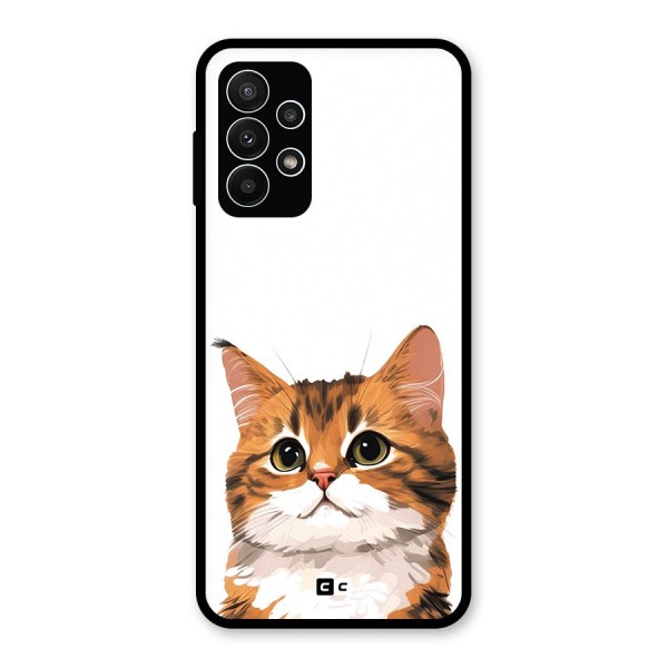 The Cute Cat Glass Back Case for Galaxy A23