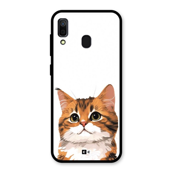 The Cute Cat Glass Back Case for Galaxy A30