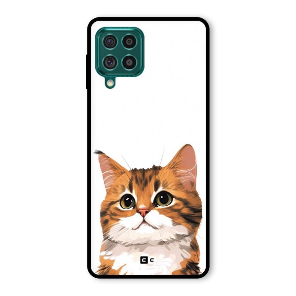 The Cute Cat Glass Back Case for Galaxy F62