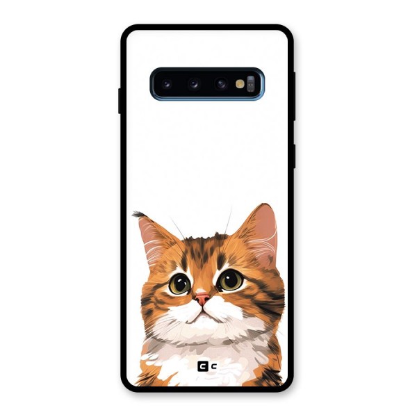 The Cute Cat Glass Back Case for Galaxy S10