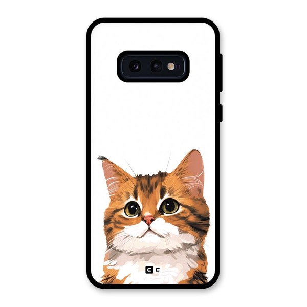 The Cute Cat Glass Back Case for Galaxy S10e