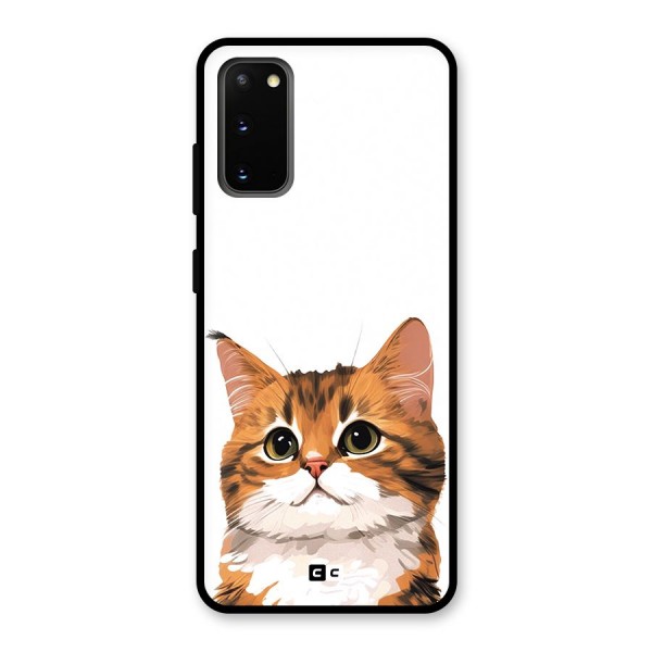 The Cute Cat Glass Back Case for Galaxy S20