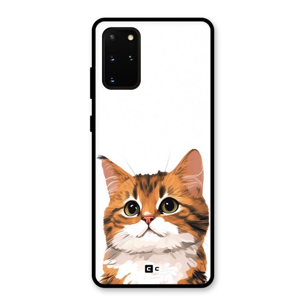 The Cute Cat Glass Back Case for Galaxy S20 Plus