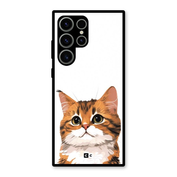 The Cute Cat Glass Back Case for Galaxy S23 Ultra