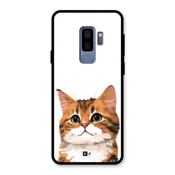 The Cute Cat Glass Back Case for Galaxy S9 Plus