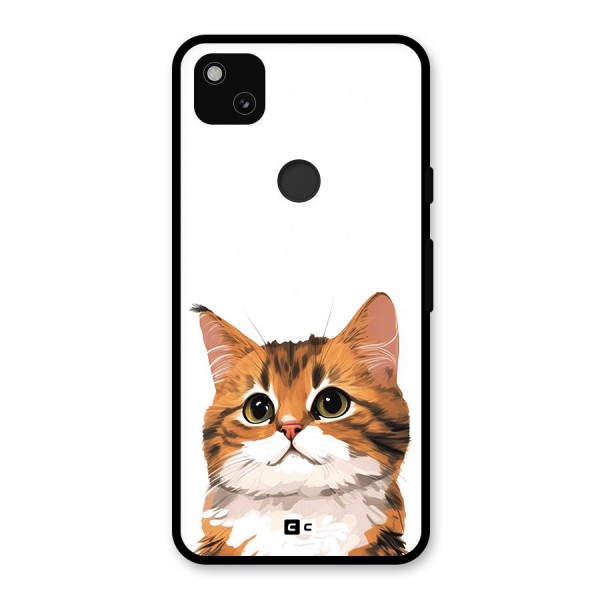 The Cute Cat Glass Back Case for Google Pixel 4a