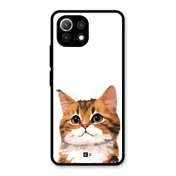 The Cute Cat Glass Back Case for Mi 11 Lite