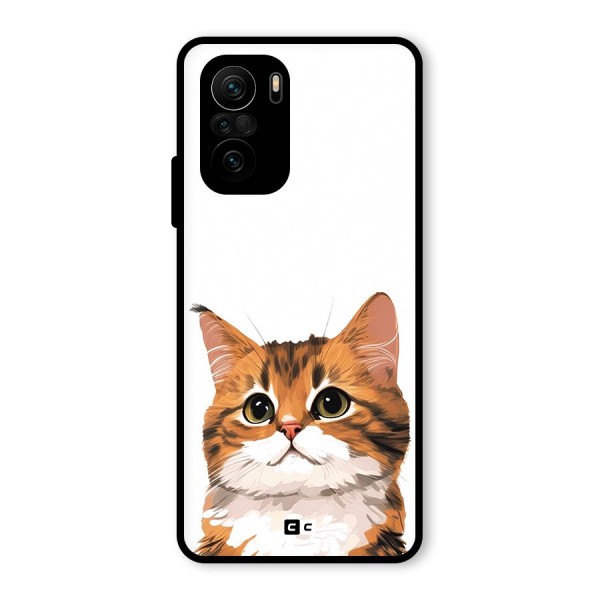 The Cute Cat Glass Back Case for Mi 11x