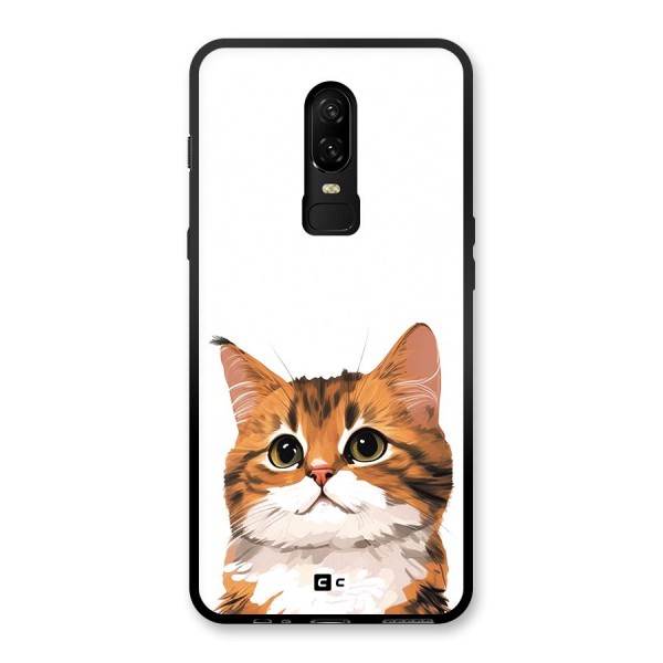 The Cute Cat Glass Back Case for OnePlus 6