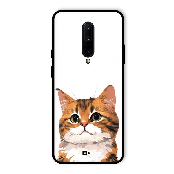 The Cute Cat Glass Back Case for OnePlus 7 Pro